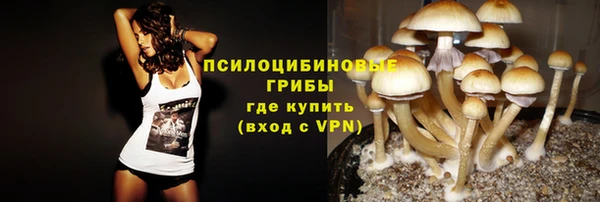 мдпв Нягань