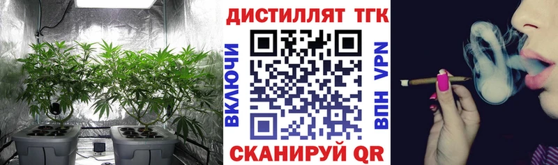 ТГК концентрат Владивосток