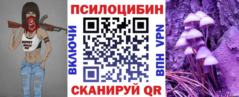 цена наркотик  Владивосток  Псилоцибиновые грибы Magic Shrooms 